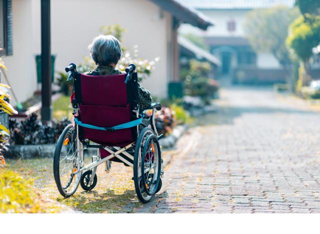 wheelchair lady
