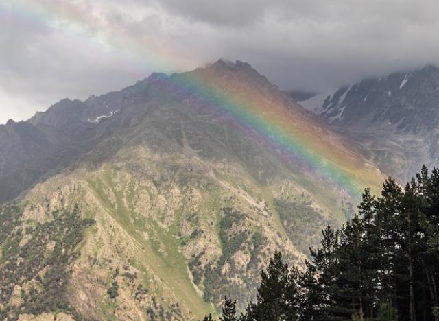rainbow moutain pine trees