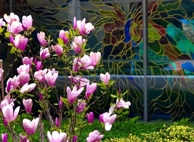 Outdoor gardens in bloom with stained glass from Chapel
