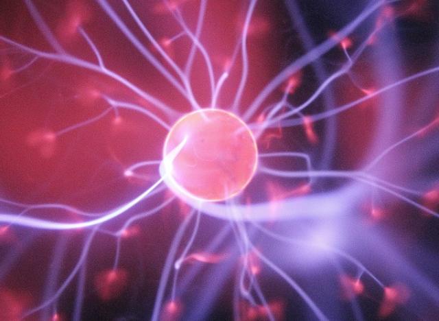 pink purple neuron