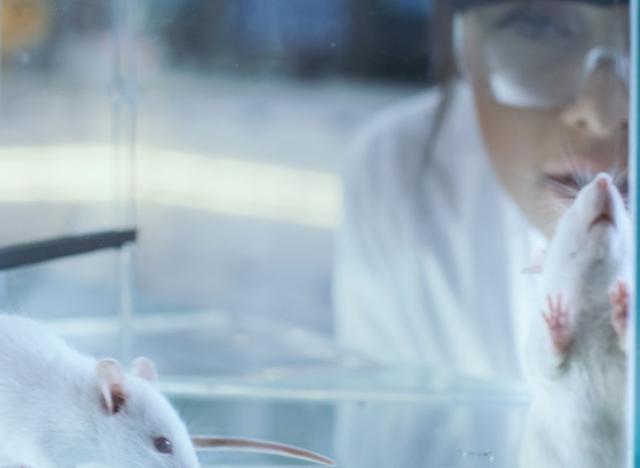 Scientists with mice