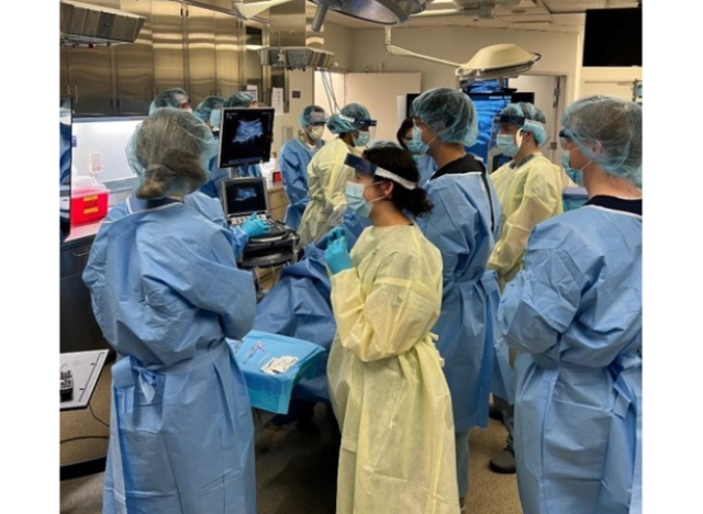 Ultrasound Course