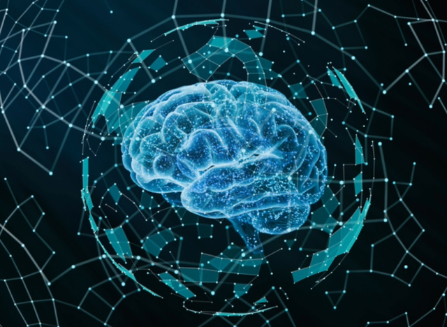Brain