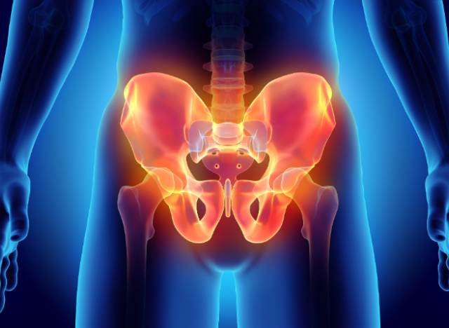 pelvic floor