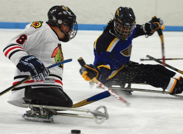 sled hockey