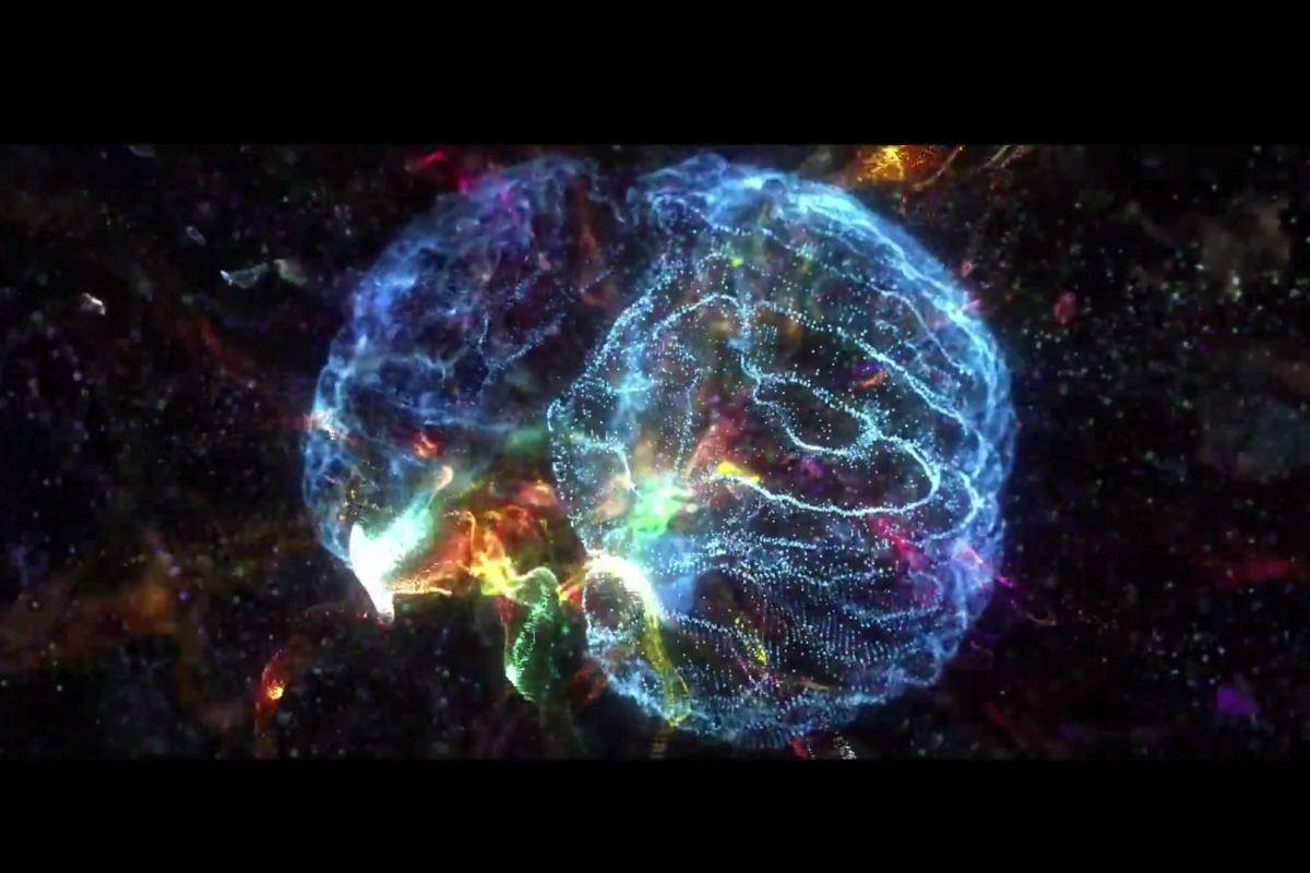 Image of neural networks of the brain