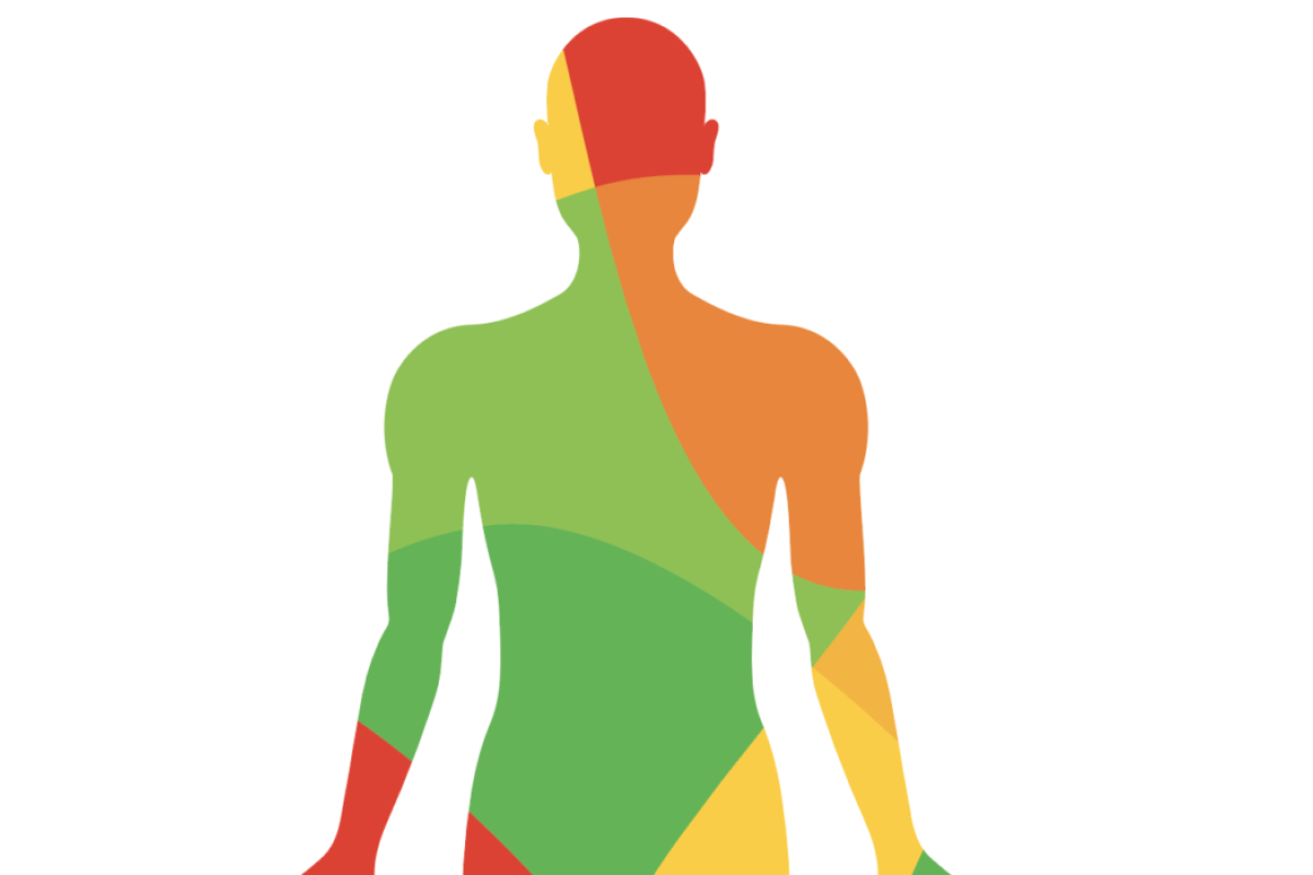 Outline of a human