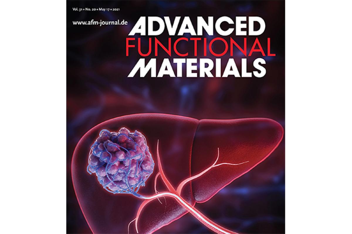 New Electrical Stimulator Made of Absorbable Material Offers Hope for Nerve Regeneration Therapy