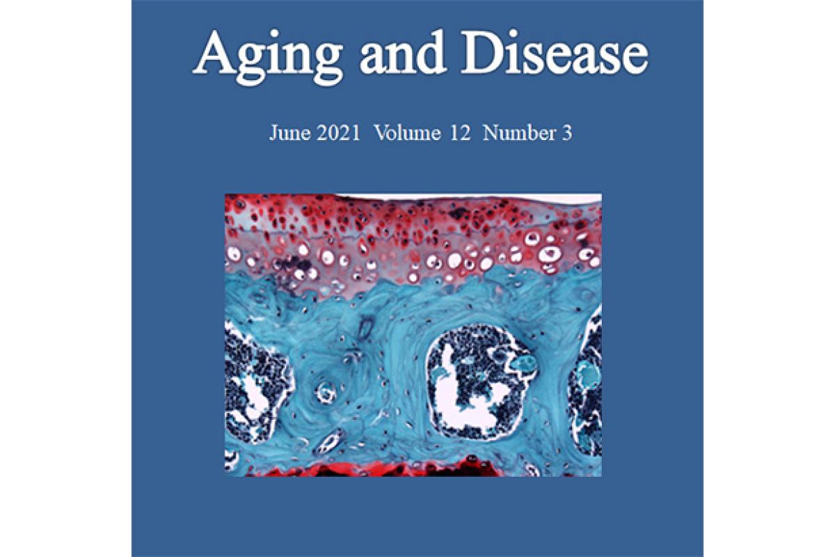 Dr. Mitra Lavasani and Team Publish Research Investigating New Cell Therapy for Osteoarthritis