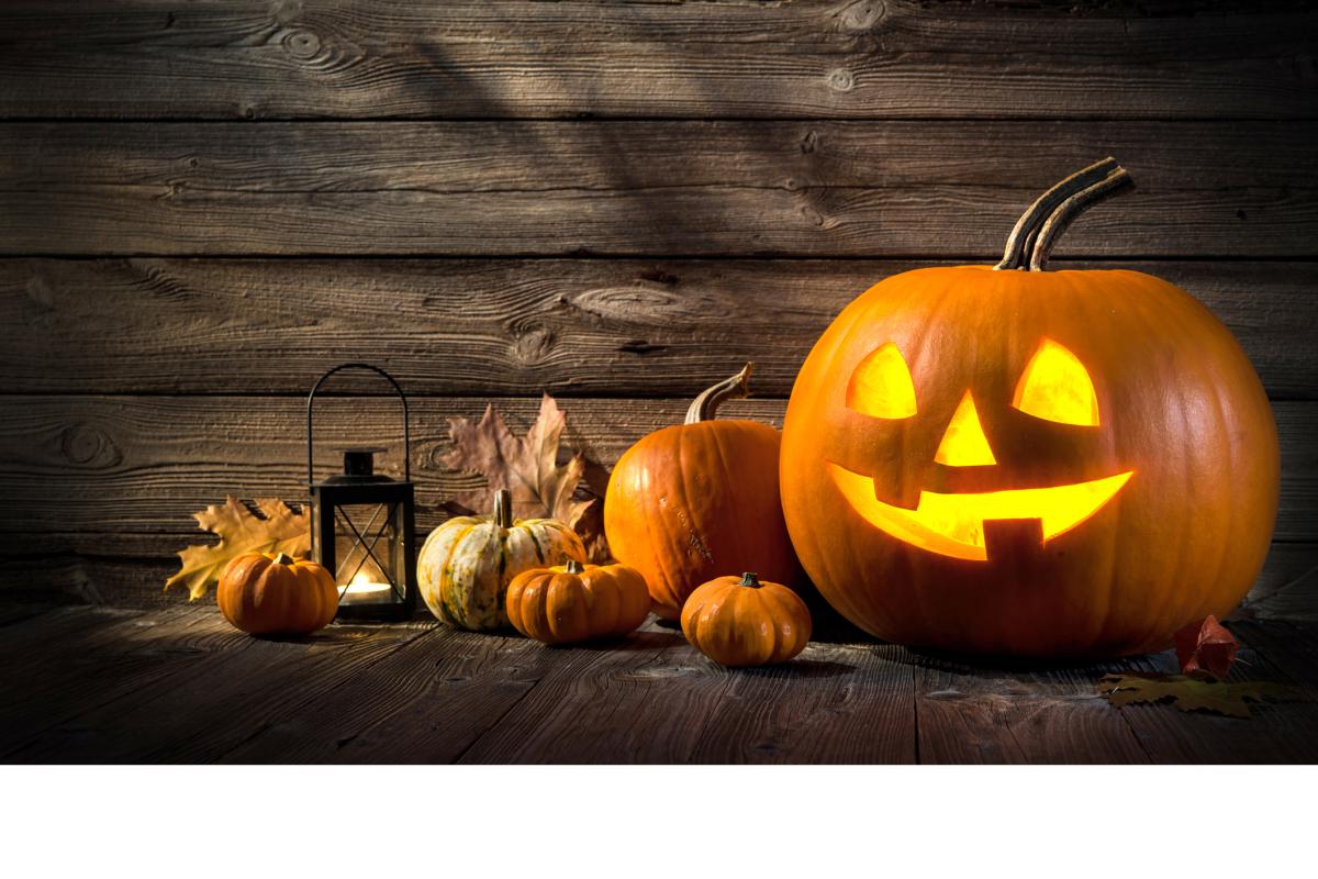 Carved Pumpkins for Halloween