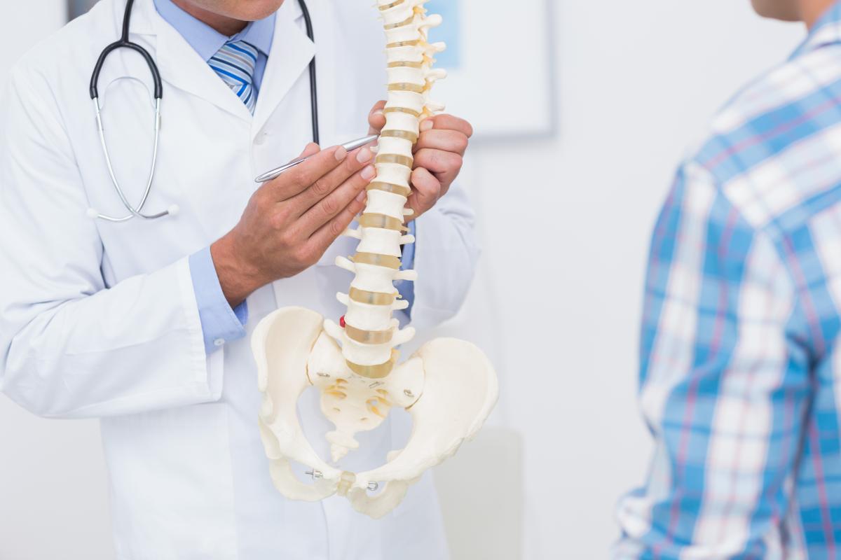 Spinal Cord model