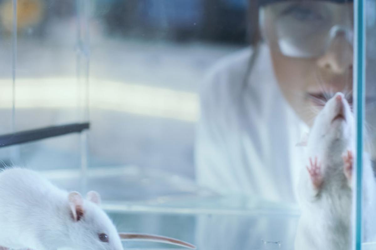 Scientists with mice