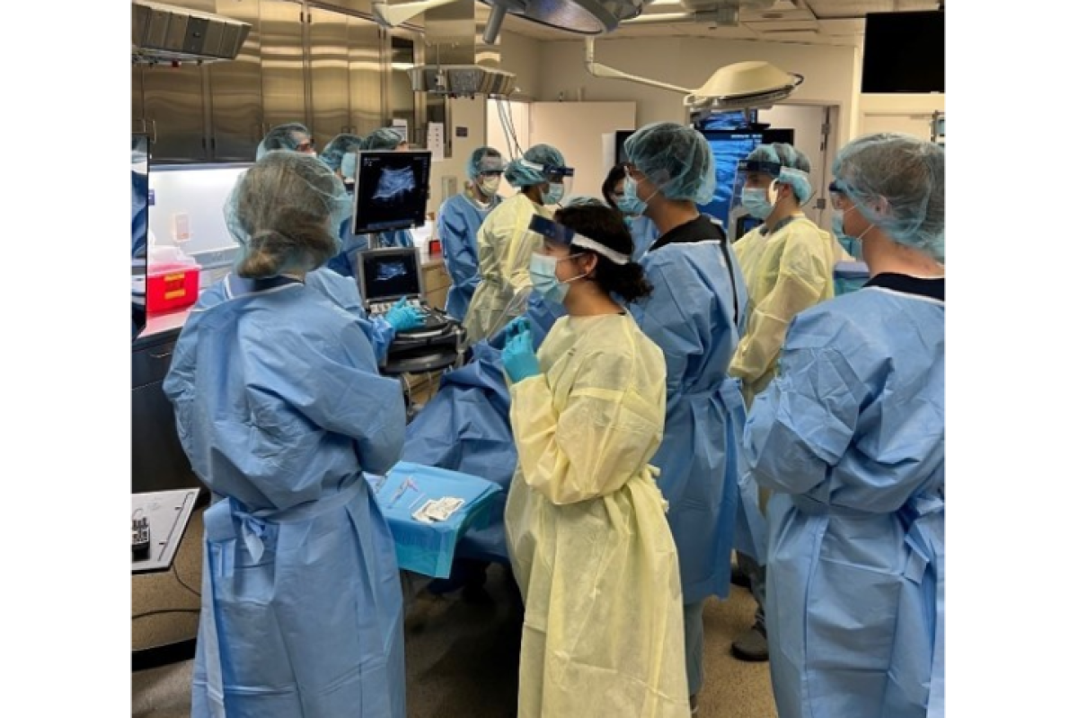 Ultrasound Course