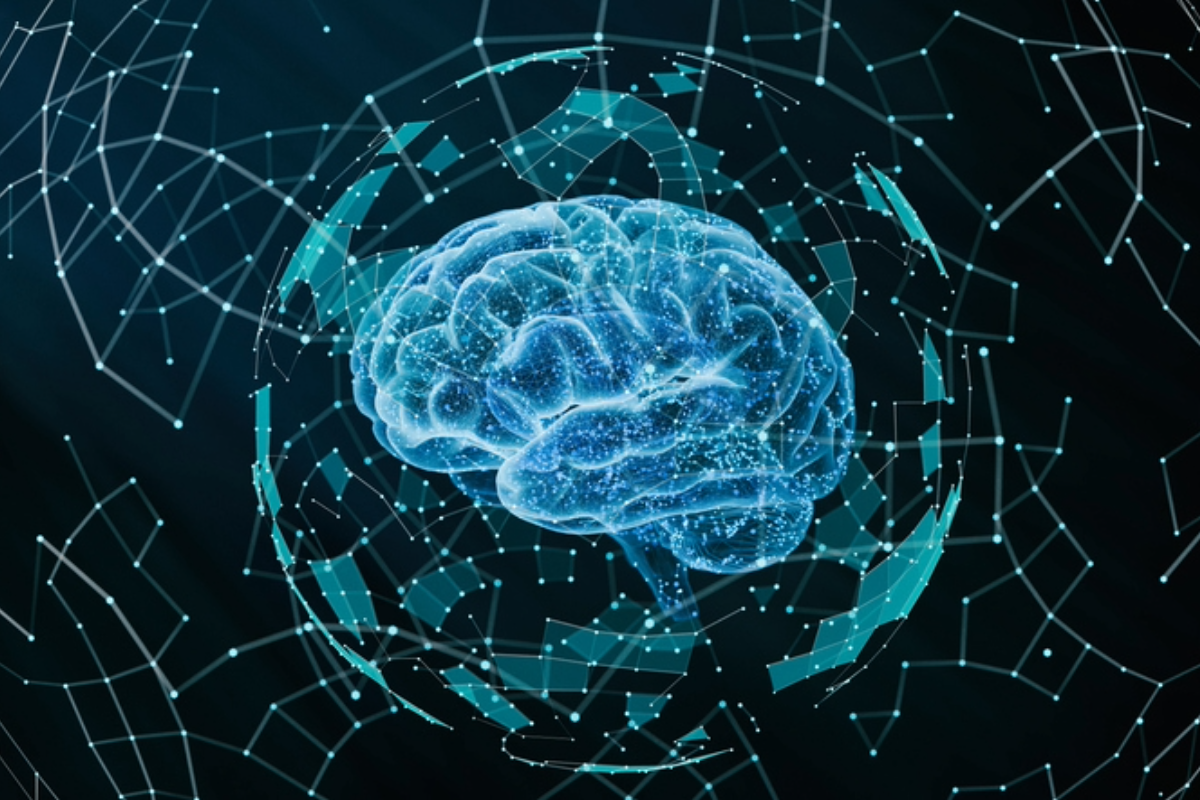 Brain