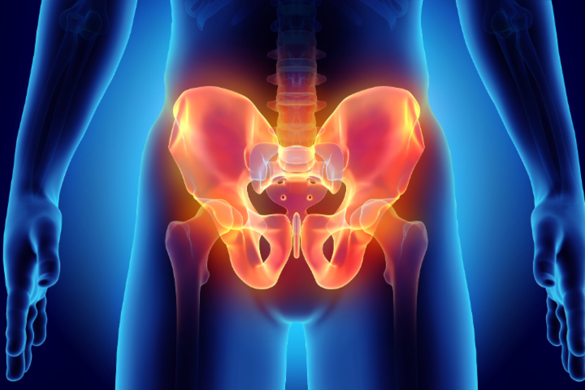 pelvic floor