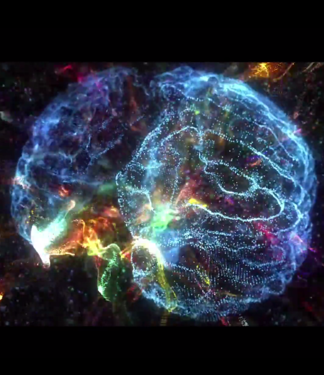 Image of neural networks of the brain