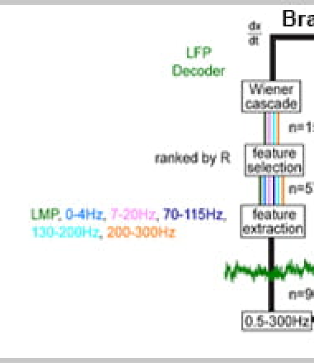 hand control data image