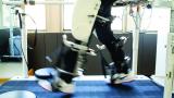 legs walking with assistance on a treadmill