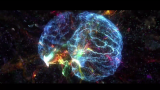 Image of neural networks of the brain