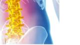 Spinal image in colors