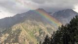 rainbow moutain pine trees
