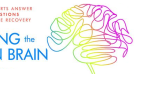 colorful header scribble brain drawing