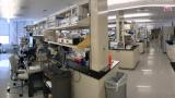 Lab panoramic