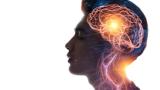 brain