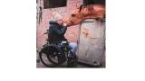 a photo of Sarra, a young woman with brown hair in a wheelchair giving a brown horse a nuzzle on the muzzle