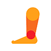 Legs+Walking-Lab-Icon hover animate